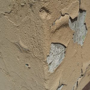 Common Paint Problems and Solutions - Damp